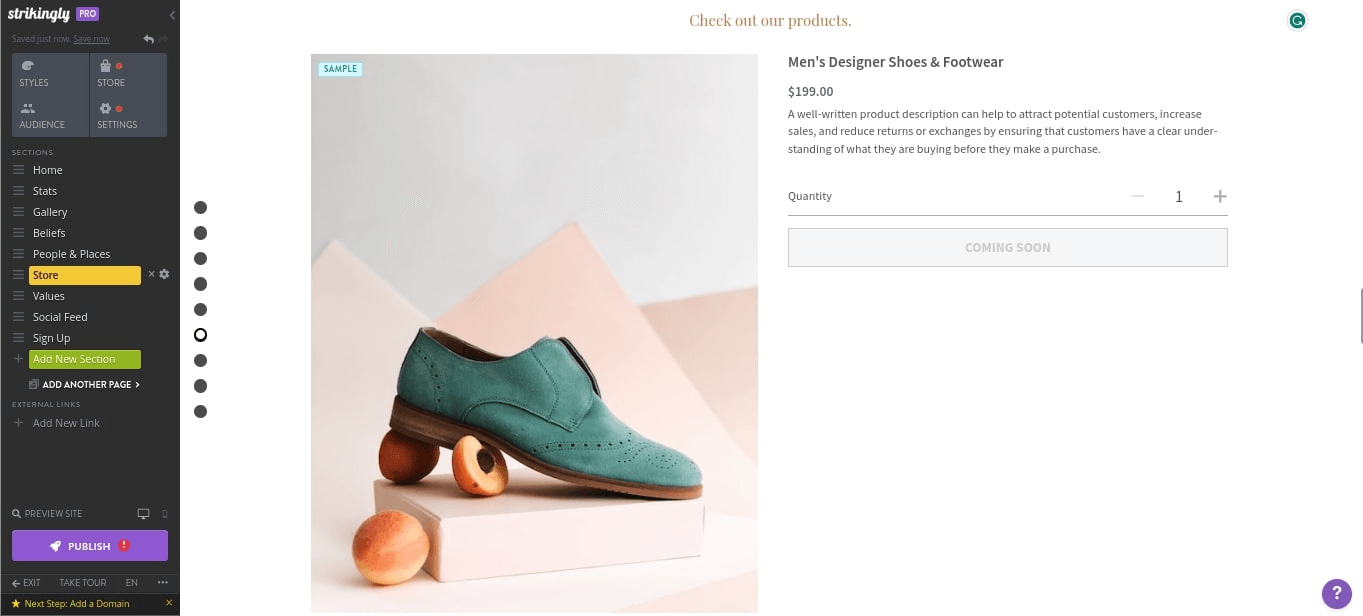 null Options to add a store to any website template
